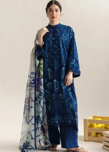 Heavy Embroidered Airjet Dhanak 3-Piece Suit with Digital Shawl